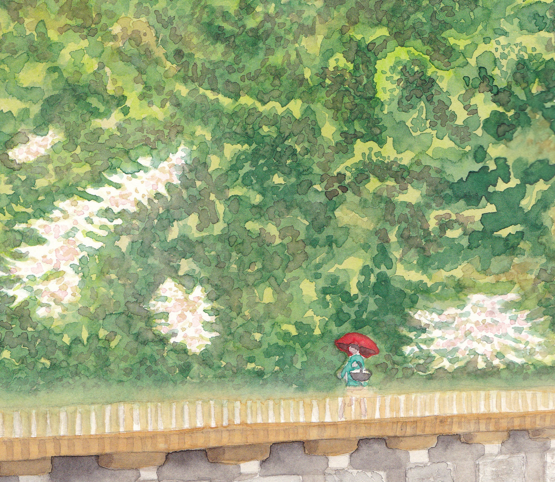 Katsuo Trail Series A - Bundle Presale
